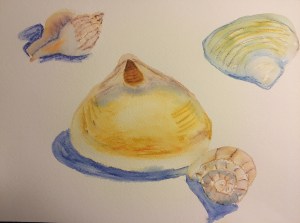 Module6 watercolor pencils